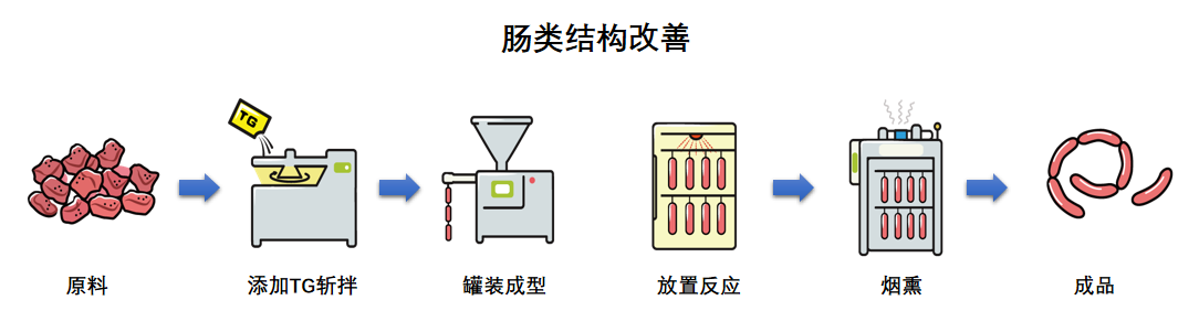 肠类结构改善