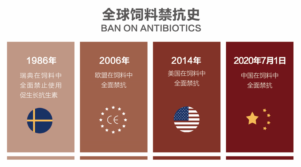 全球饲料禁抗史.png