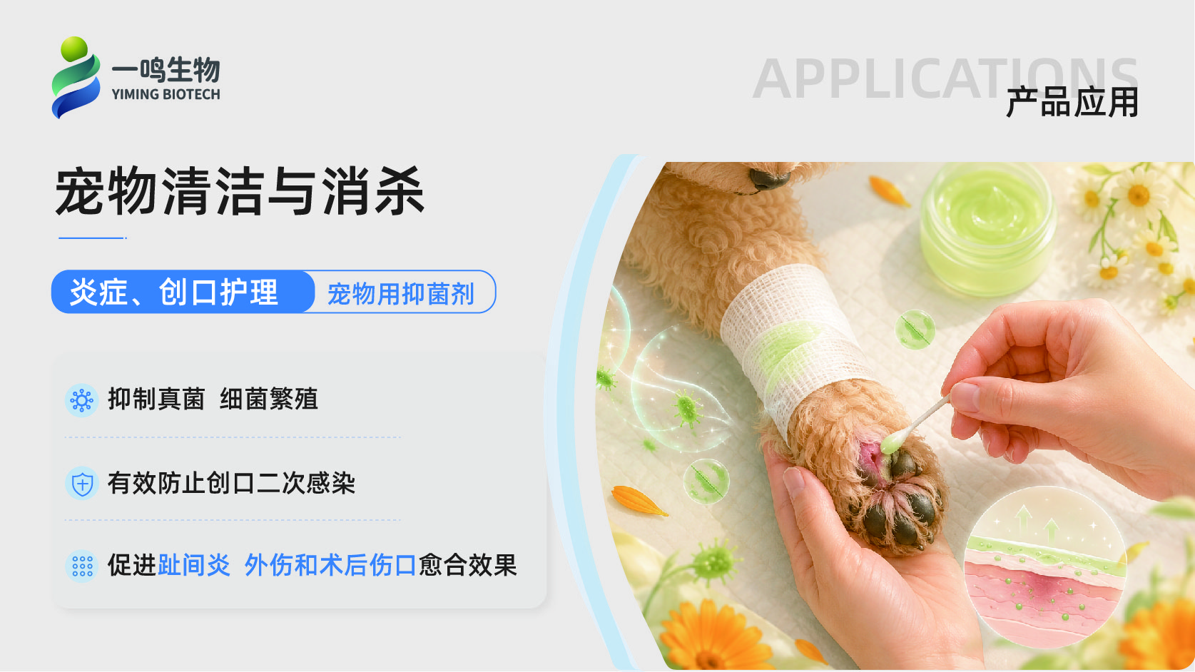 一鸣生物公司介绍(化妆品、宠物板块)-29.jpg